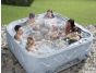 Passion Spas Hot Tub - Dream 7 