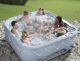 Passion Spas Hot Tub - Dream 7 